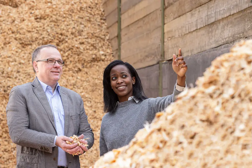Nachhaltigstes WDVS: Entstehung Holzfaserdämmung von Sto. Sägewerk, Holzschnitzel