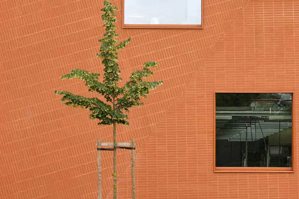 Detailaufnahme einer roten StoBrick Klinkerfassade: Schule im Passivhausstandard, 