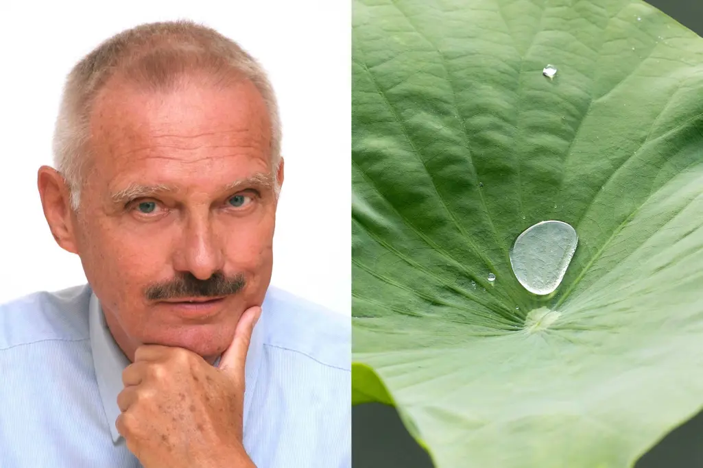 Willhelm Barthlott, Biologie-Professor im Ruhestand und Entdecker des Lotus-Effekts