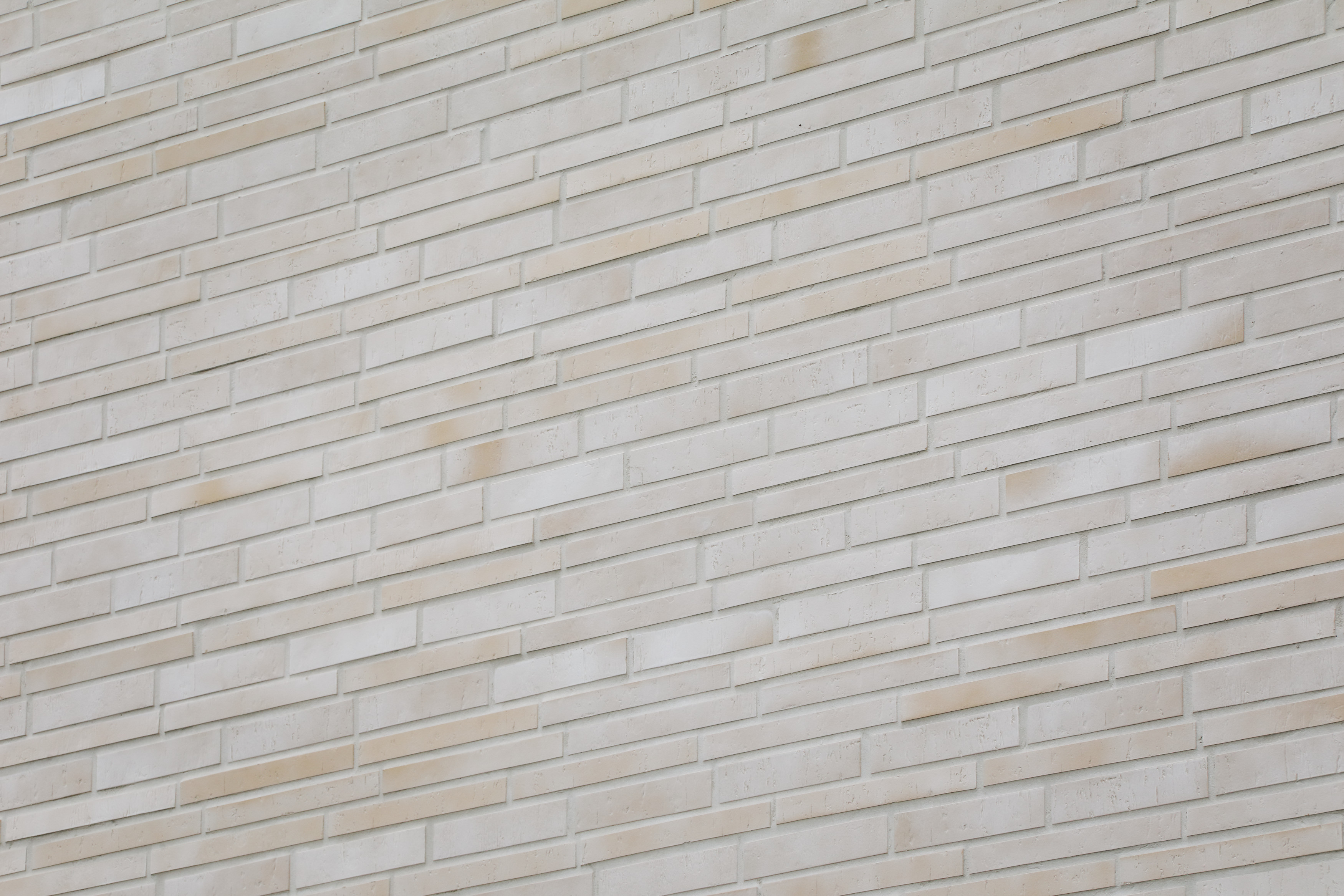 Bild: Norman Radon / Sto SE & Co. KGaA