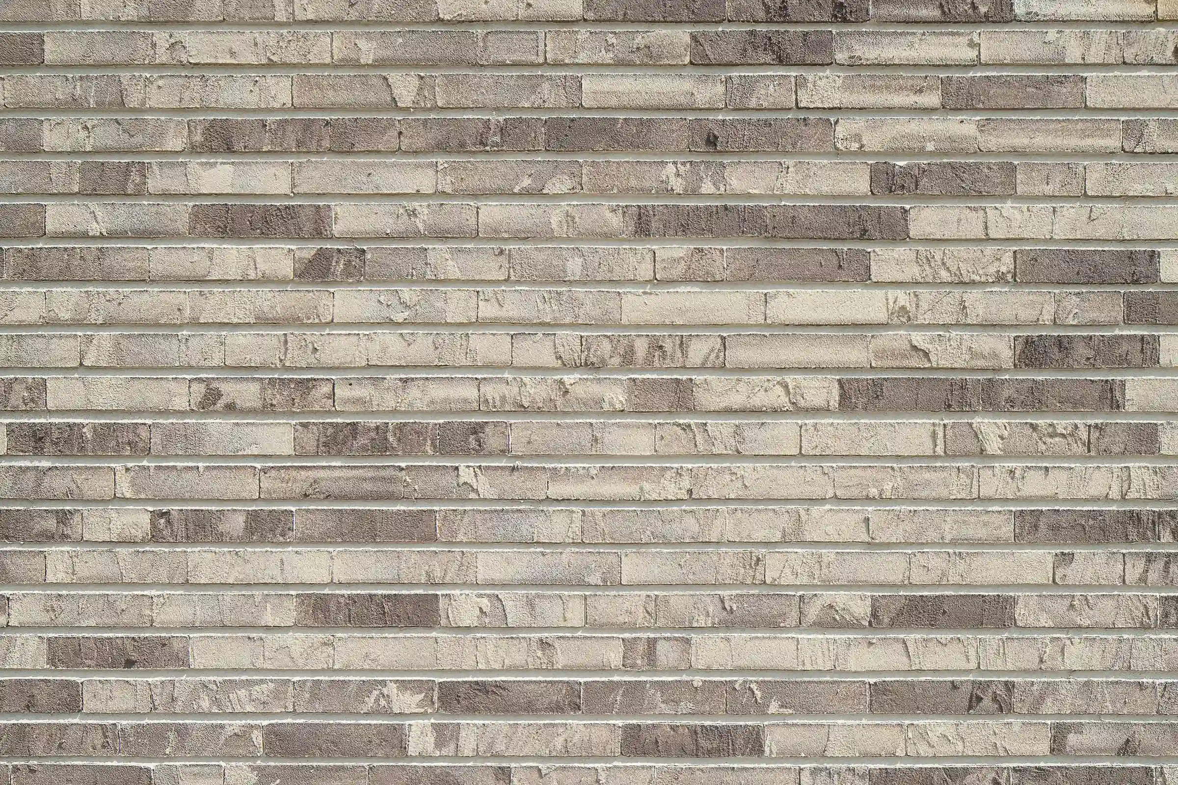 Bild: Ronald Tilleman / Sto SE & Co. KGaA