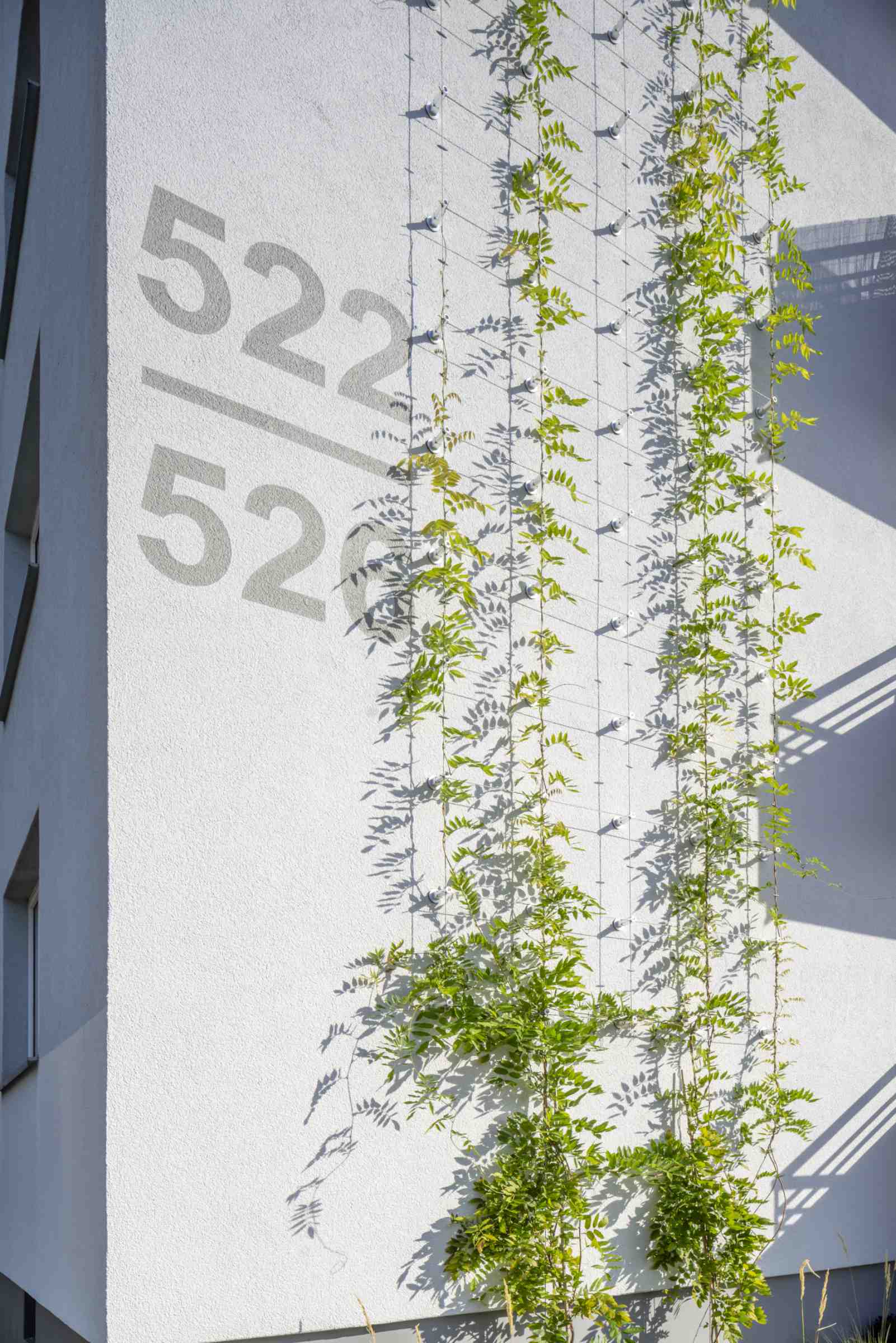 Außenaufnahme von Wohngebäude. Weiße Fassade mit Begrünung. 