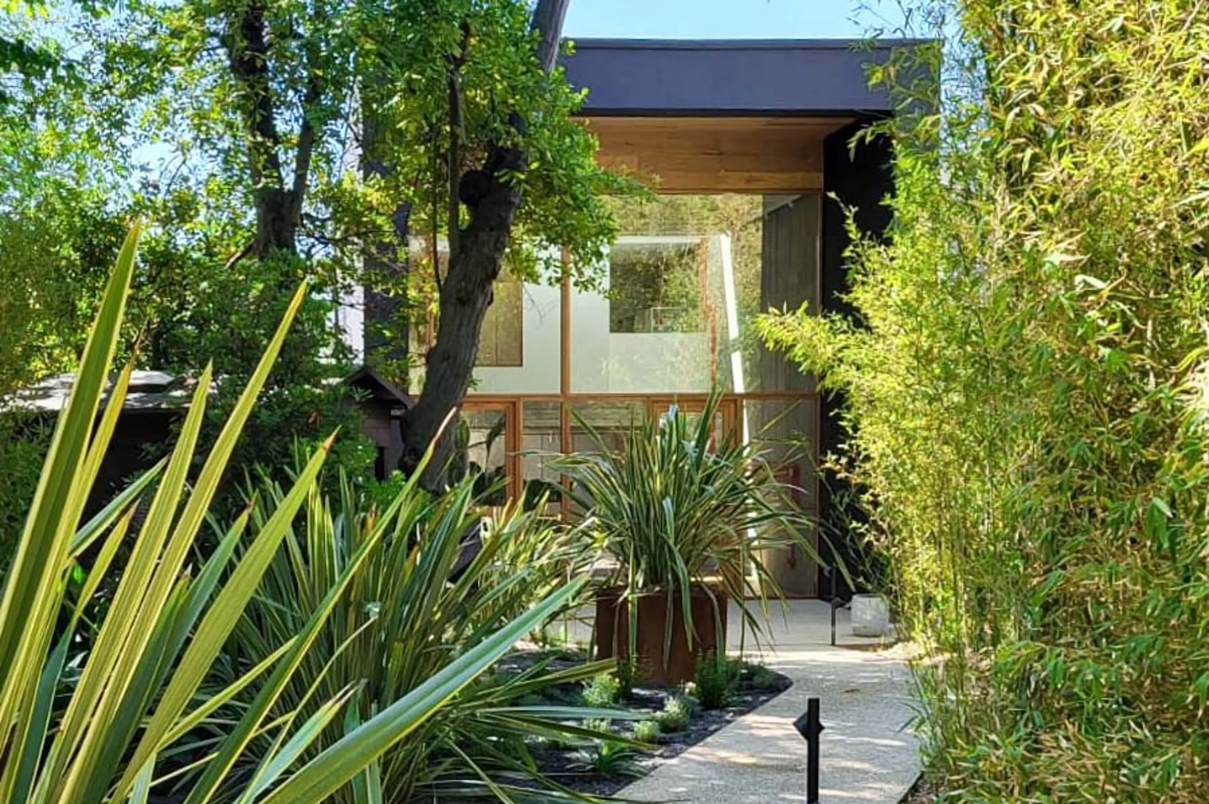 Aufnahme eines Einfamilienhauses in mitten von Grünpflanzen, schwarze Fassade mit X-black Technology