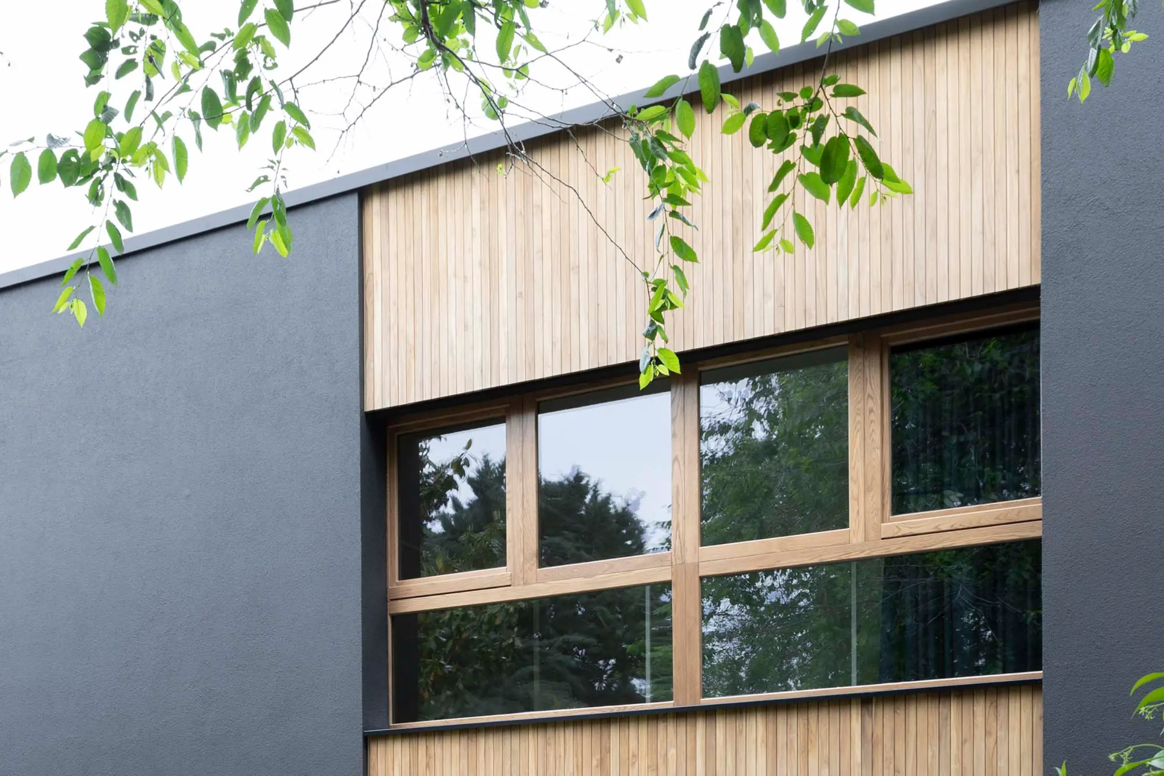 Aufnahme eines Einfamilienhauses in mitten von Grünpflanzen, schwarze Fassade mit X-black Technology