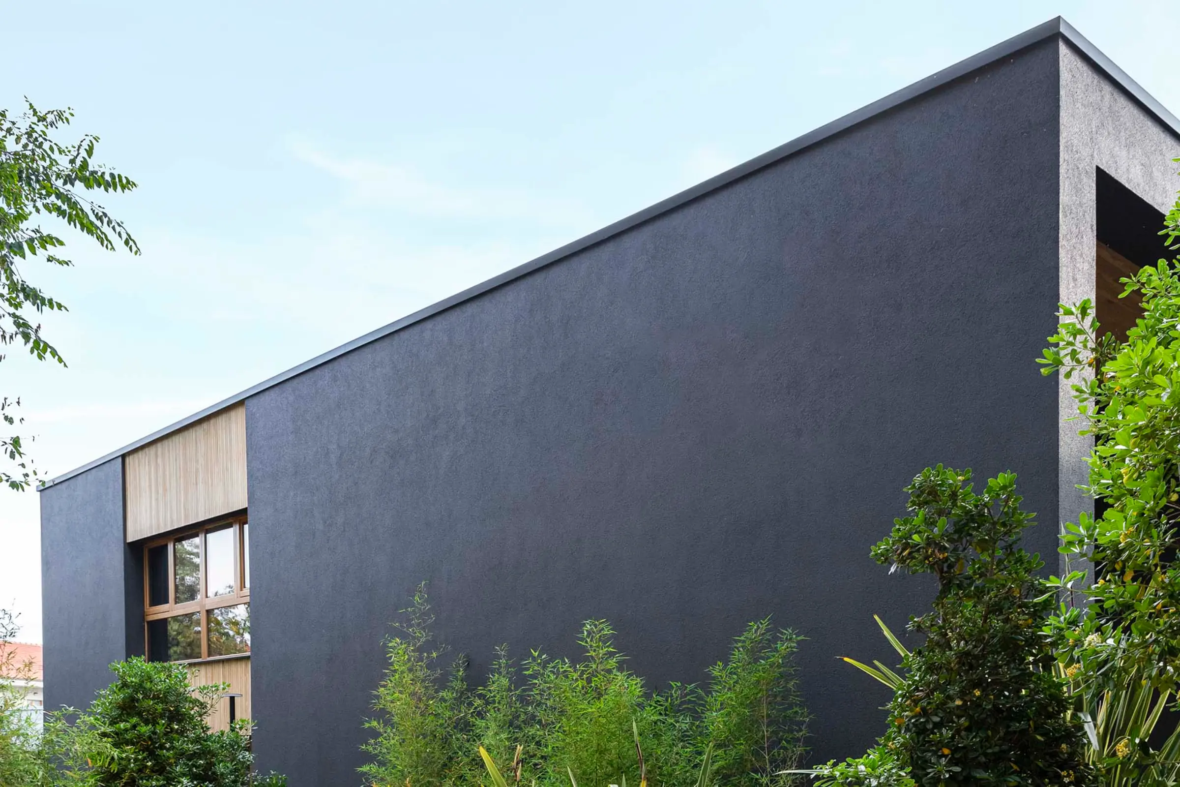 Aufnahme eines Einfamilienhauses in mitten von Grünpflanzen, schwarze Fassade mit X-black Technology