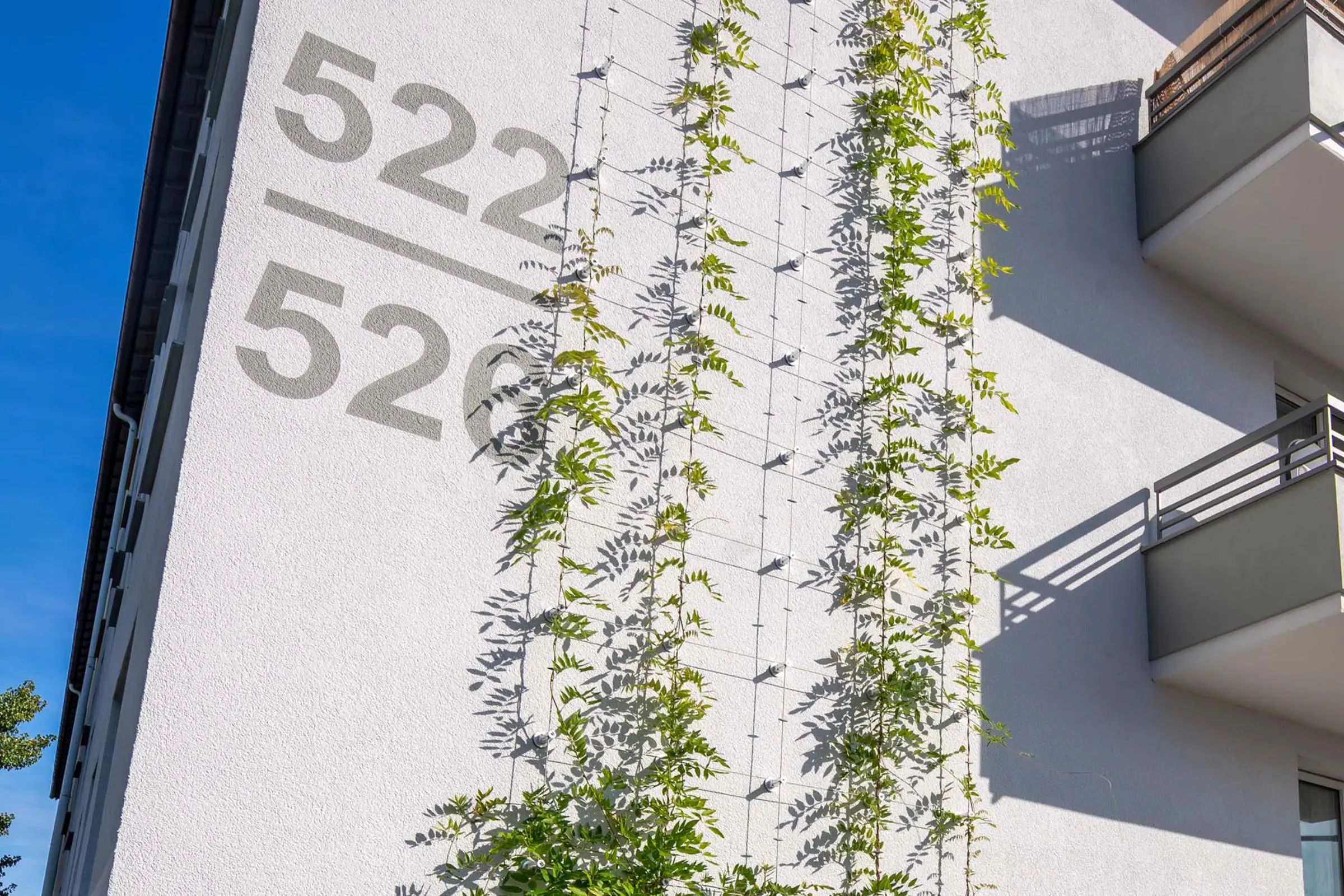 Aufnahme eines Mehrfamilienhauses, Fassadenbegrünungssystem für WDVS - StoFix Iso-Bar ECO