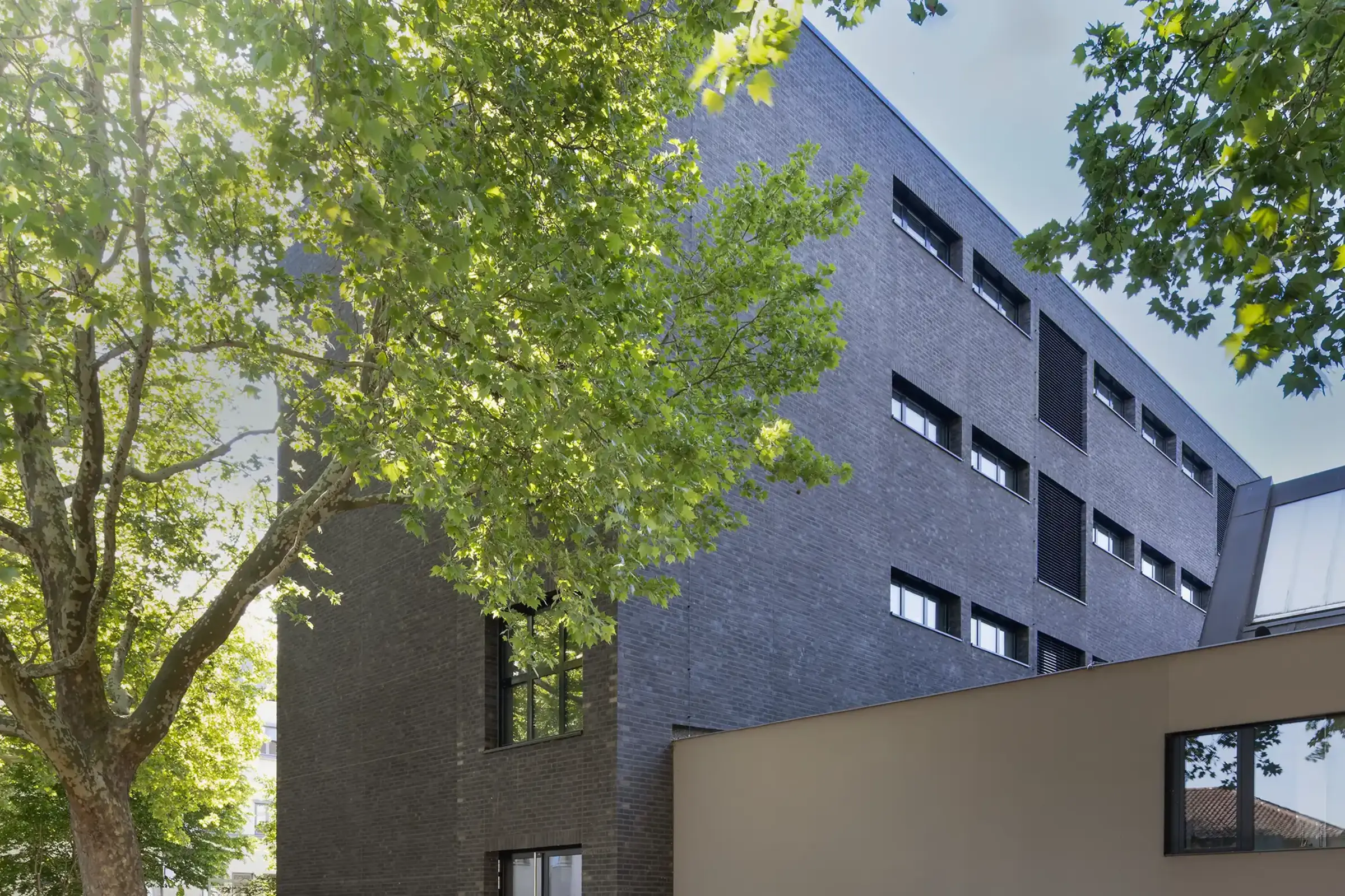 Aufnahme eines Schulgebäudes, gestaltet mit dunkelgrauen Klinkerriemchen StoBrick