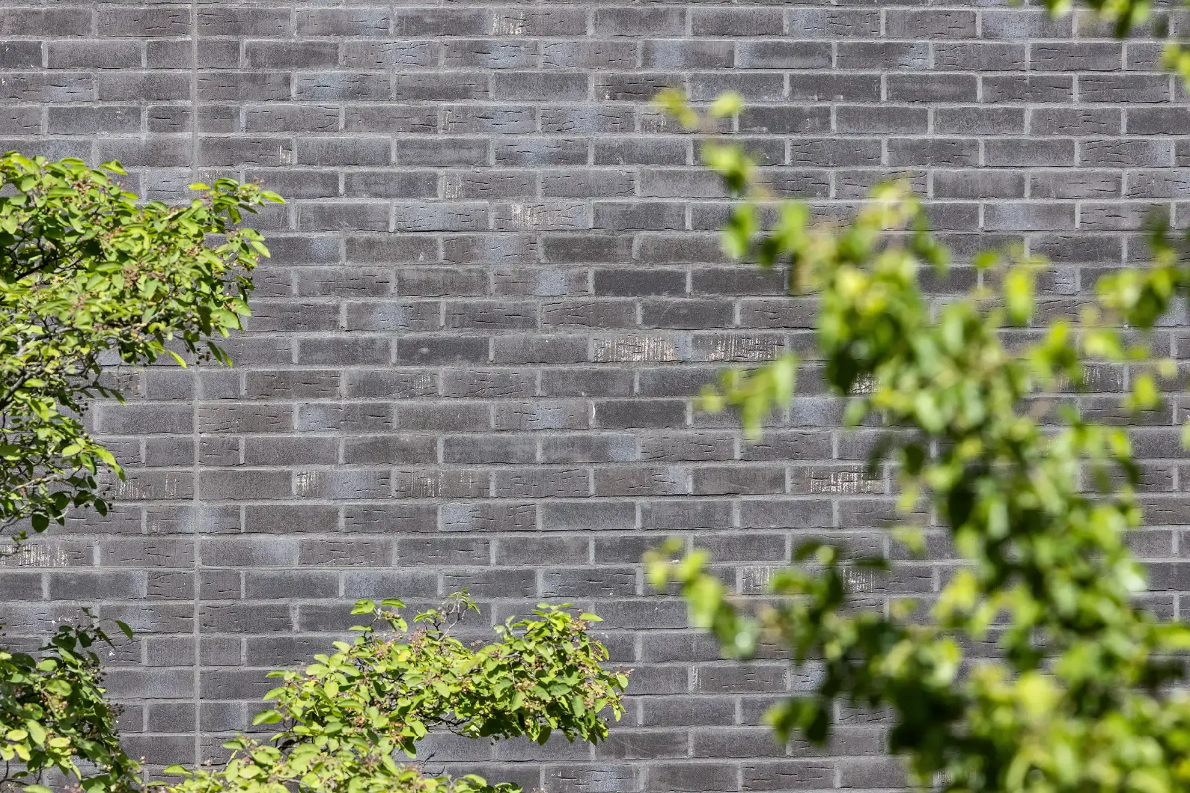Aufnahme eines Schulgebäudes, gestaltet mit dunkelgrauen Klinkerriemchen StoBrick
