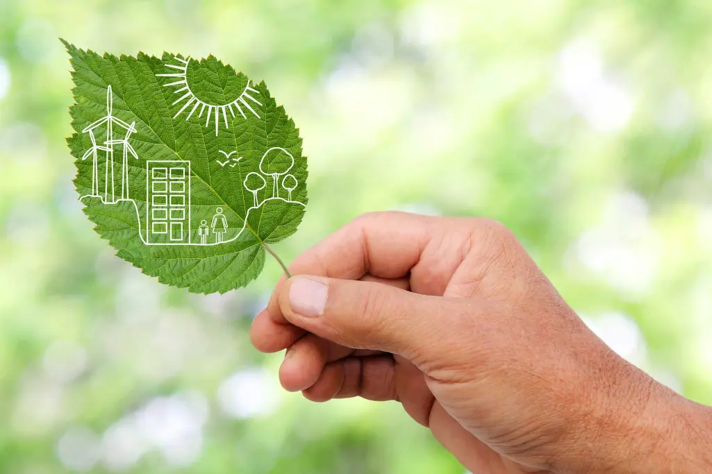 Hand hält grünes Blatt in der Hand, Nachhaltigkeit, Umweltproduktdeklaration, EPD