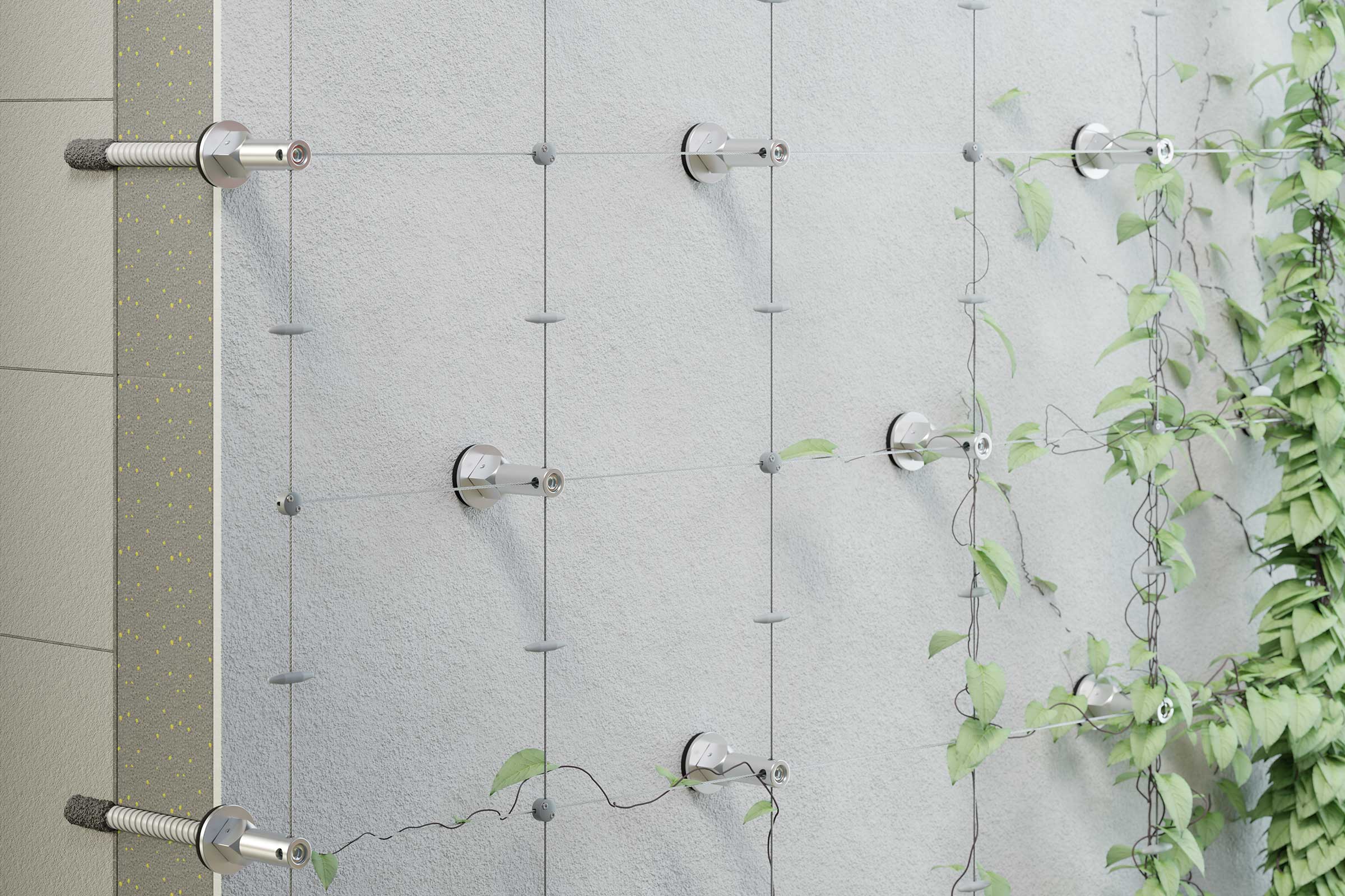 Rankhilfen auf WDVS-Dämmplatten mit Efeu-Bewuchs 