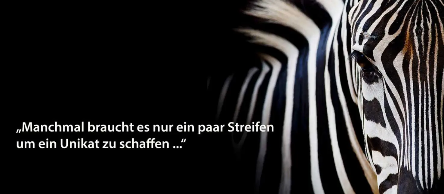 Bild mit Zebra auf schwarzem Hintergrund
