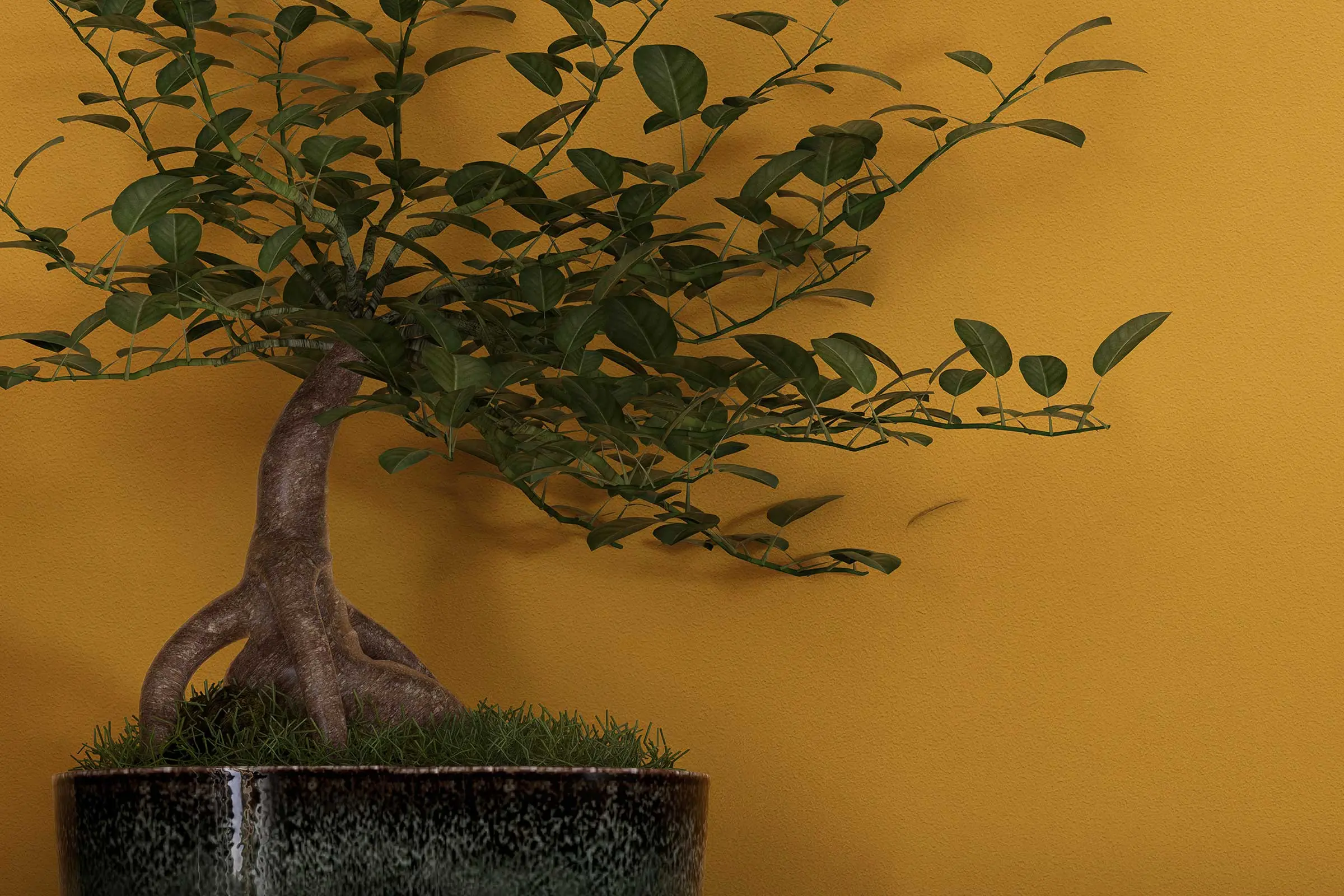 Detail Esszimmer: Pflanze vor gelber Wand, gestaltet mit Interior Colors 24+ von Sto