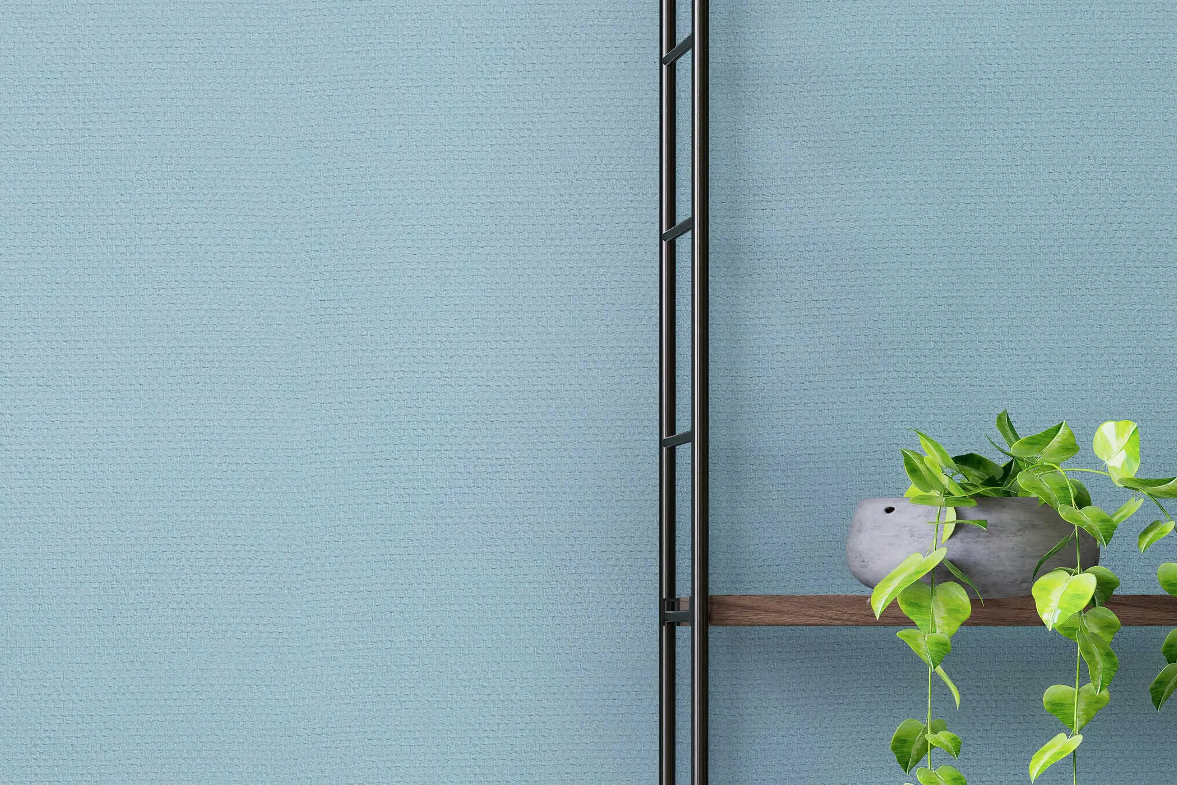 Wohnbereich, Detail Wandregal mit Pflanze, Wand gestaltet mit Interior Colors 24+ von Sto