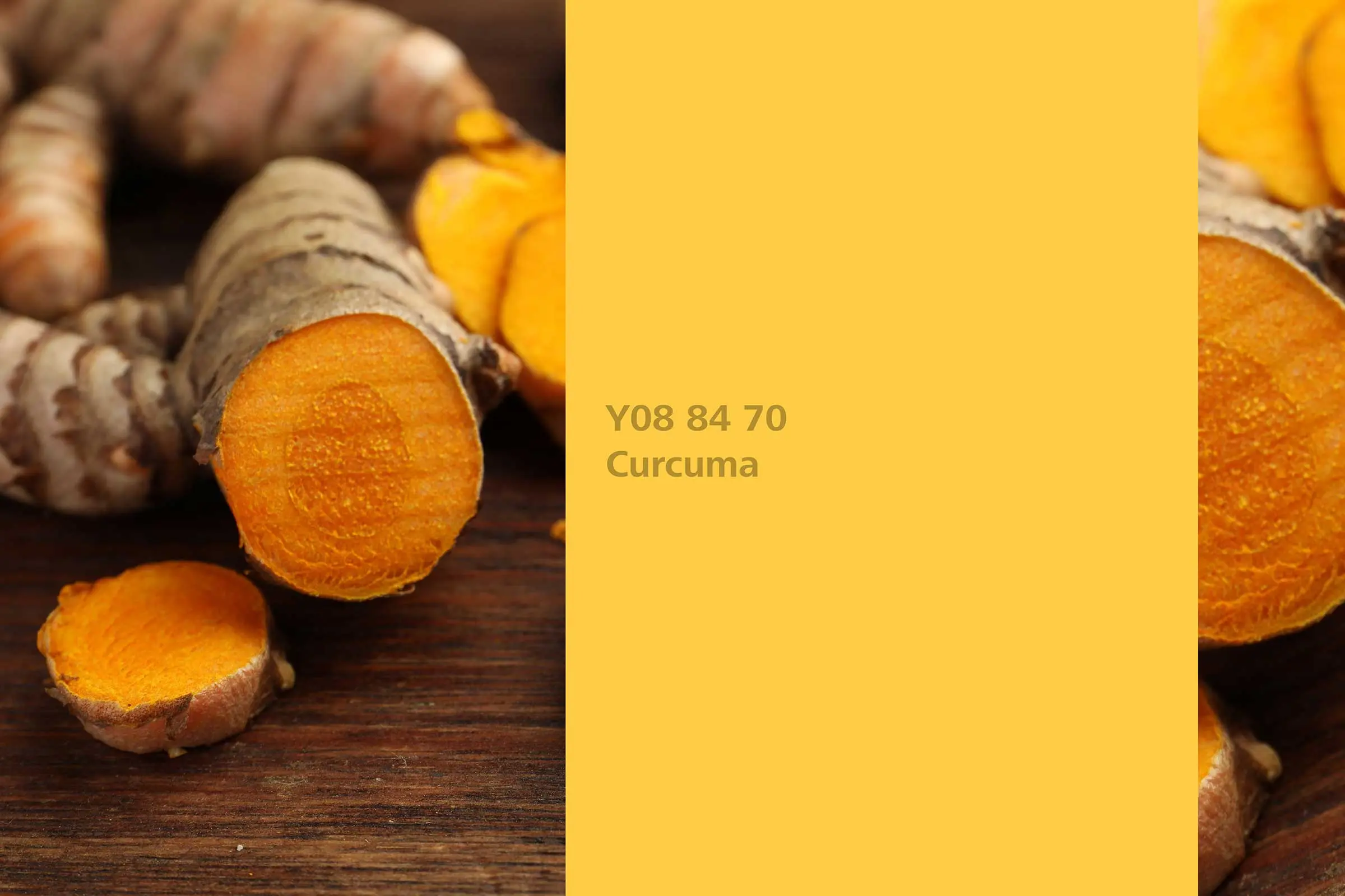 Wandfarbe Kurkuma, Farbton Curcuma, Färberpflanze, Naturfarbton der Interior Colors 24+ | Sto