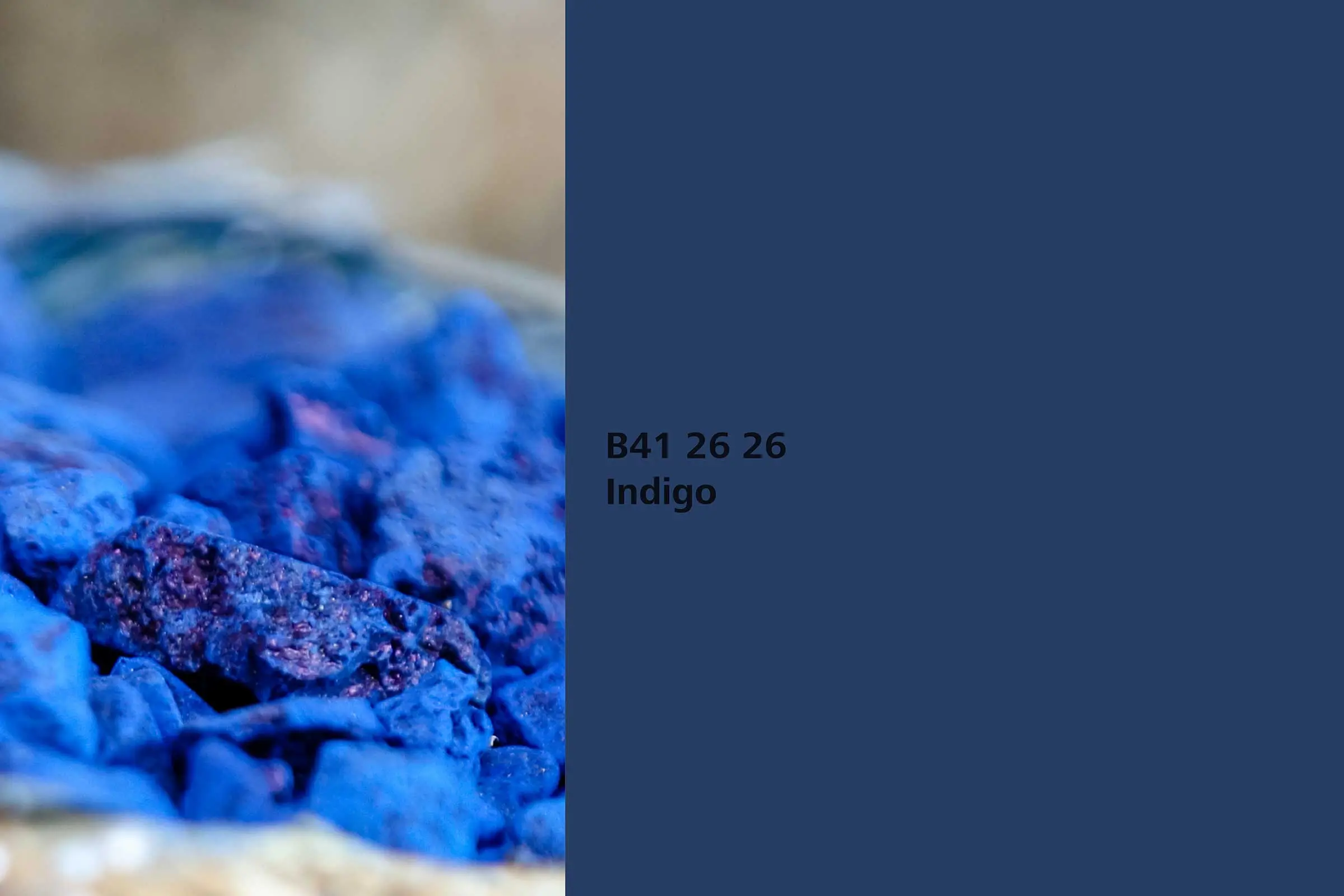 Indigo Wandfarbe, Farbton Indigo, Färberpflanze, Naturfarbton der Interior Colors 24+ | Sto