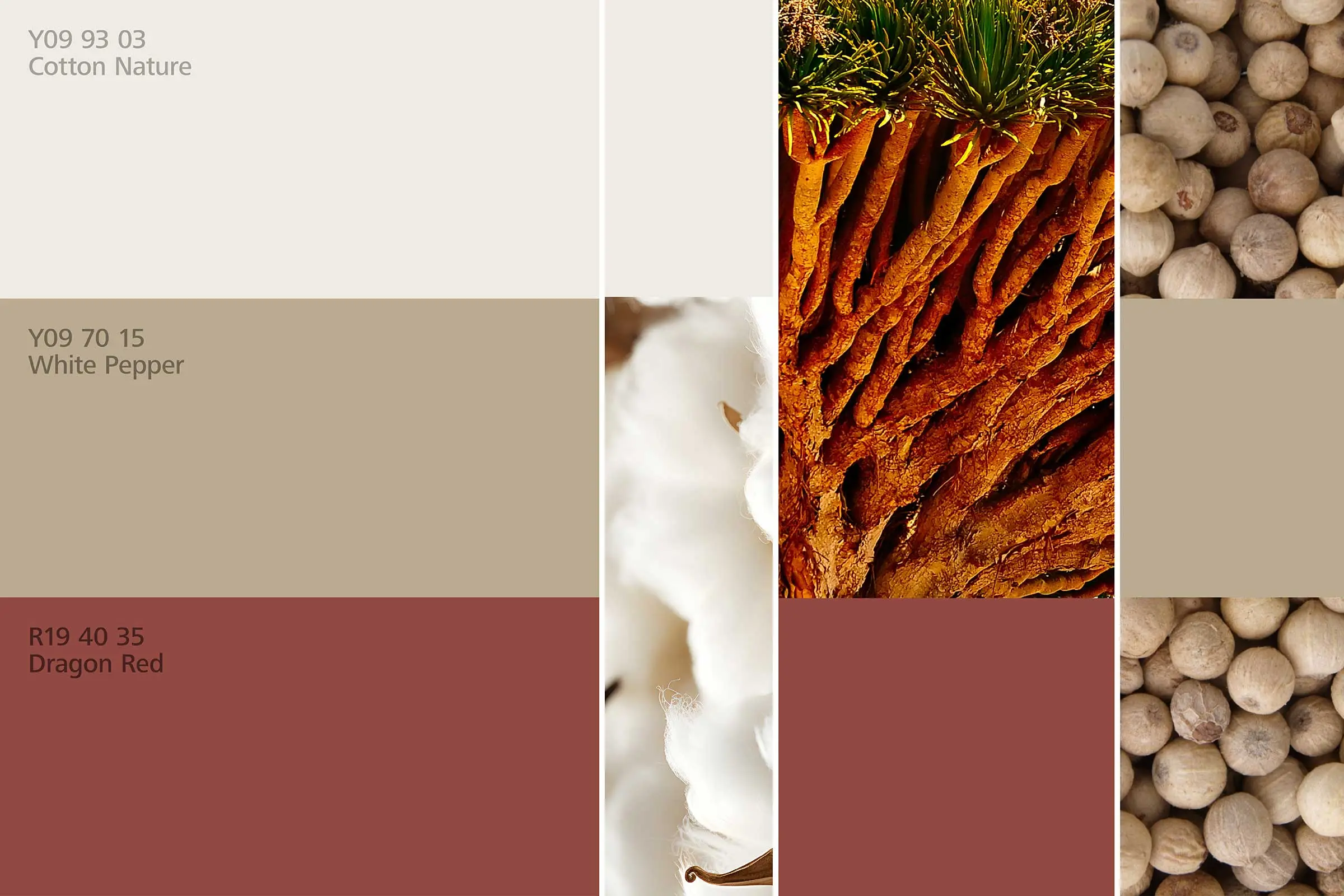 Essbereich 1, Farharmonien, Farbtöne Rot und Natur der Interior Colors 24+ von Sto