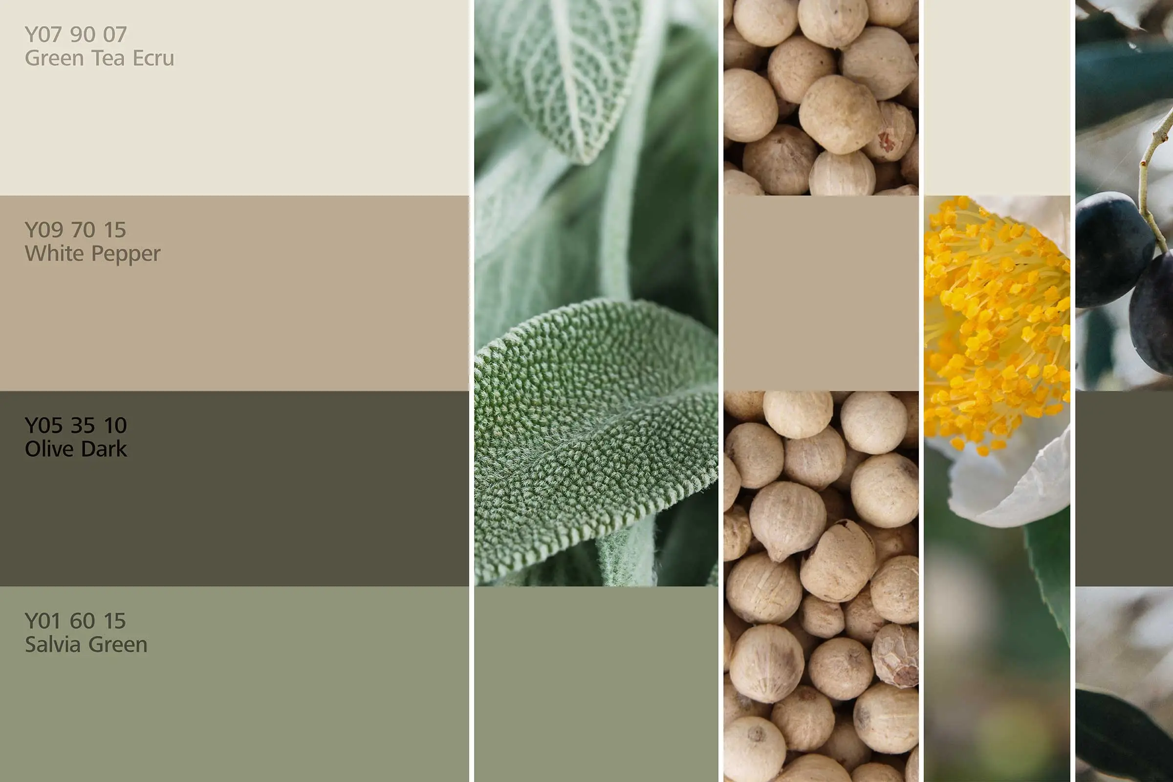 Essbereich 2, Farbharmonien, Farbtönen in Grün und Natur der Interior Colors 24+ von Sto