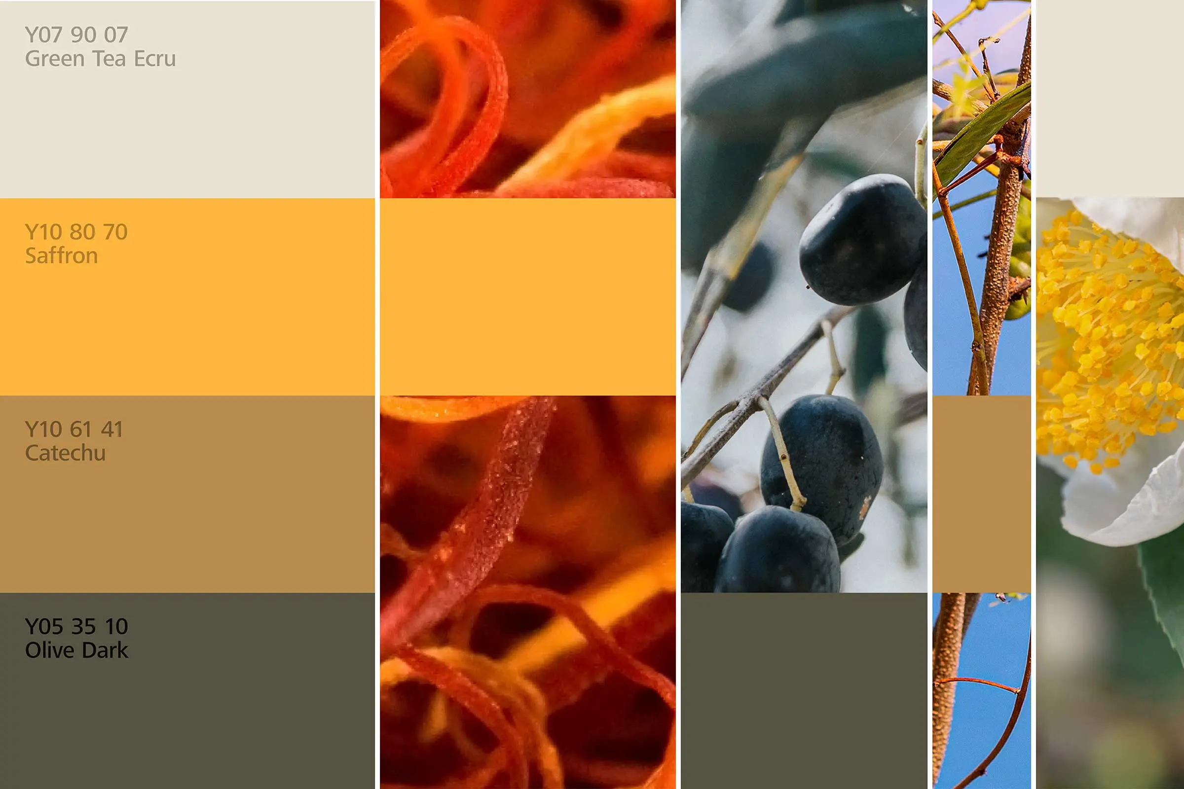 Essbereich 3, Farharmonien, Farbtöne in Gekb und Grün der Interior Colors 24+ von Sto