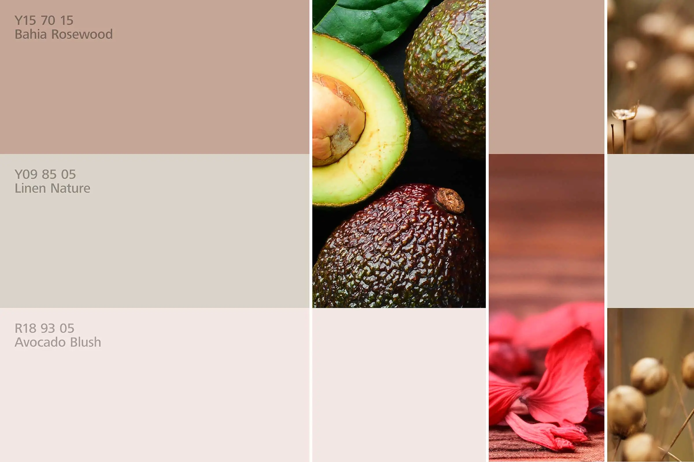 Schlafzimmer 3, Farharmonien, Farbtöne in Rose- und Naturfarbtönen der Interior Colors 24+ von Sto