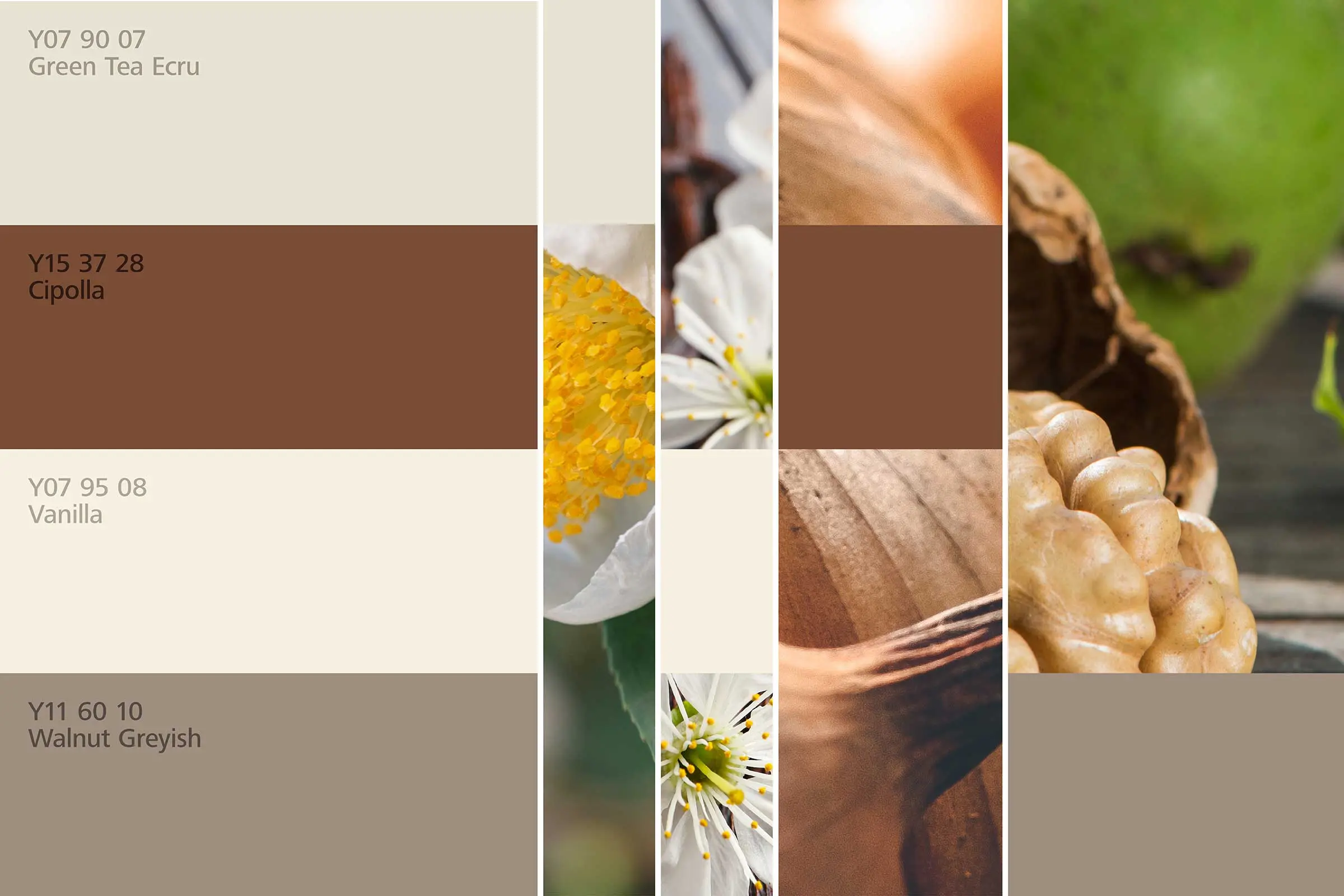 Wohnbereich 1, Farharmonien, Farbtöne in Braun- und Beigetönen der Interior Colors 24+ von Sto