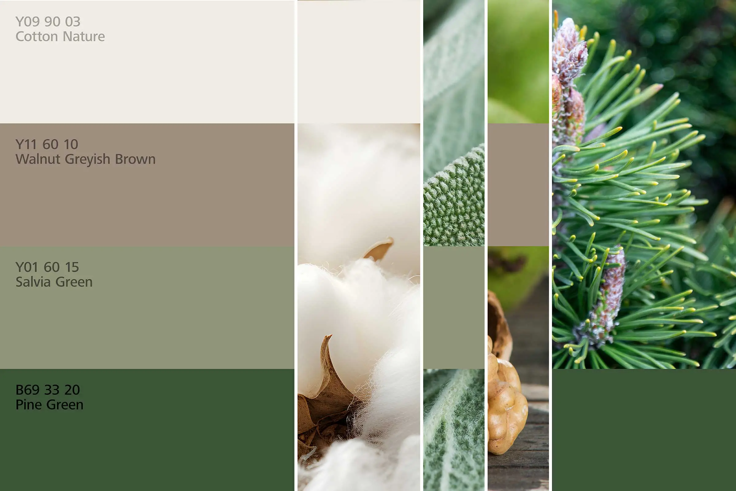 Wohnbereich 3, Farharmonien, Farbtöne in Grün- und Naturfarbtonen der Interior Colors 24+ von Sto