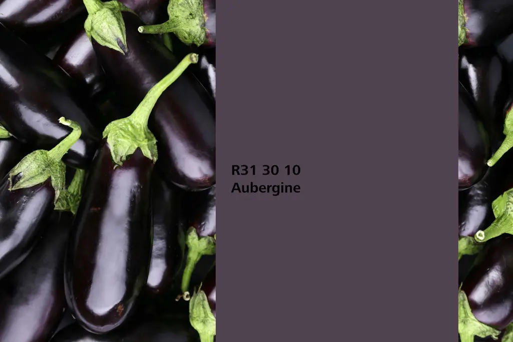 Farbton Aubergine, Assoziation Auberginefrüche, Naturfarbton Interior Colors 24+ von Sto