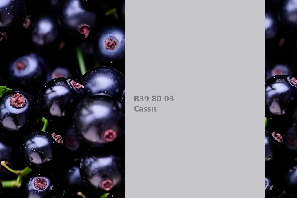 Farbton Cassis, Färberpflanze schwarze Johannisbeere (Ribes Nigrum, Naturfarbton Interior Colors 24+