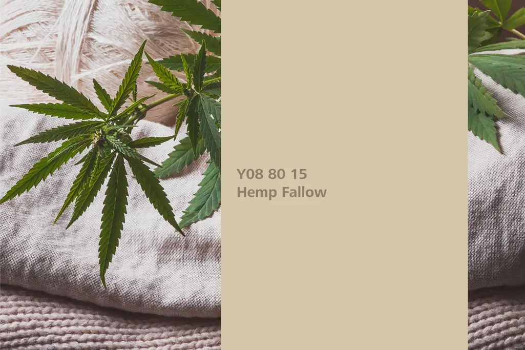 Farbton Hemp Fallow, Assoziation Hanf, Naturfarbton Interior Colors 24+