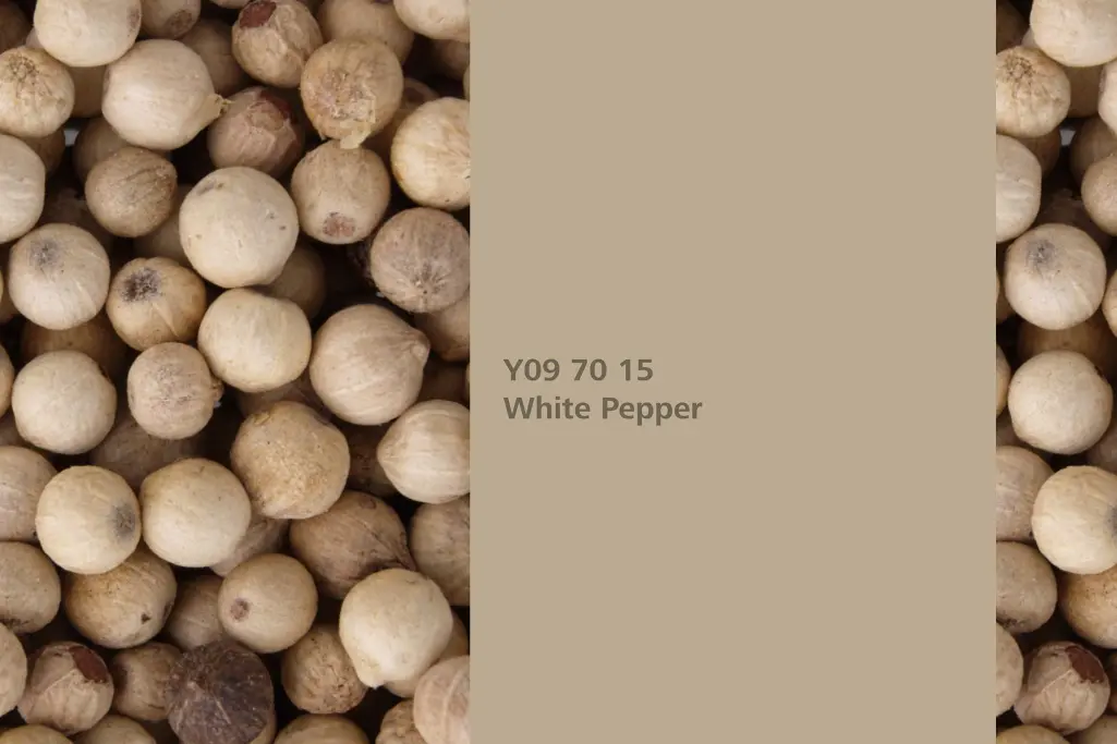 Farbton White Pepper, Assoziation Pfefferstrauchfrüchte / Samen, Naturfarbton Interior Colors 24+