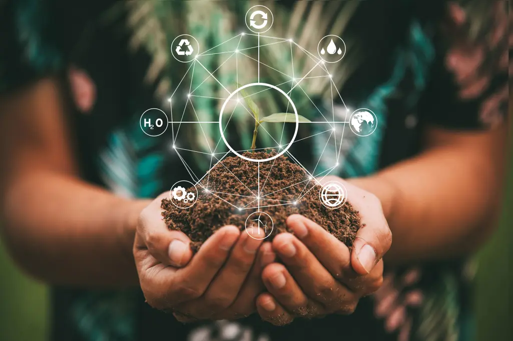 Zwei Hände halten eine Baumpflanze mit Erde, Nachhaltigkeit und CSR; Umweltmanagement ISO 14001