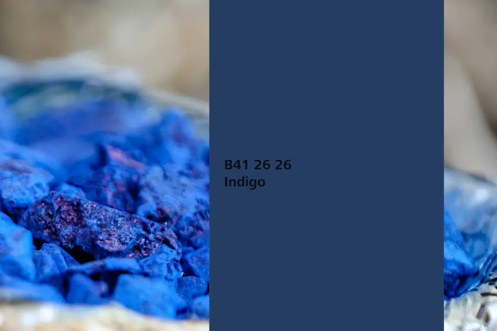 Farbton Indigo, Färberpflanze Indigopflanze, Farbton Interior Colors 24+ von Sto
